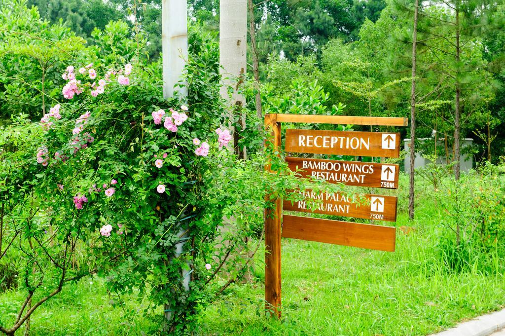 Flamingo Dai Lai Resort Ngoc Quang Dış mekan fotoğraf